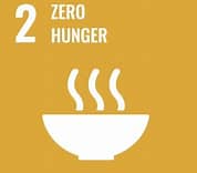 SDG 2